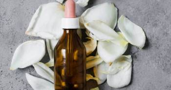el-arte-detras-de-cada-aroma-como-desarrollamos-nuestras-fraganias