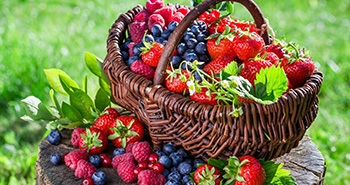  beneficios-del-aroma-de-los-frutos-rojos-para-nuestro-bienestar