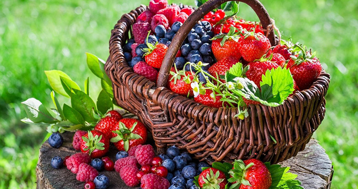 beneficios-del-aroma-de-los-frutos-rojos-para-nuestro-bienestar